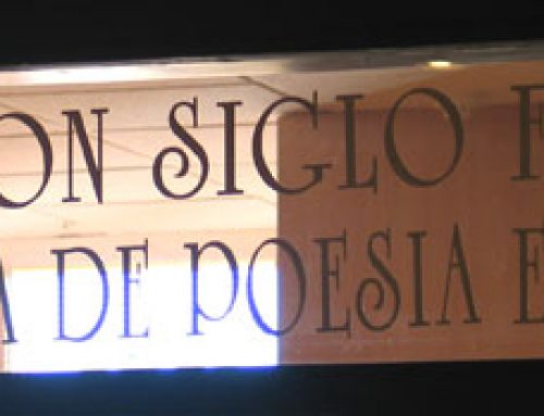 Biblioteca de Poesía Española Fundación Siglo Futuro