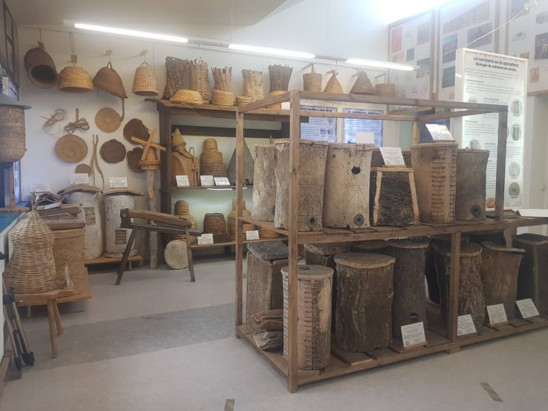 Colección de Colmenas de tronco y utillaje apícola del museo de Azuqueca